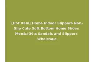 [Hot Item] Home Indoor Slippers Non-Slip Cute Soft Bottom Home Shoes Men's Sandals and Slippers Wholesale