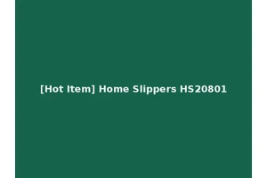 [Hot Item] Home Slippers HS20801