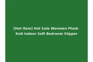 [Hot Item] Hot Sale Wonmen Plush Knit Indoor Soft Bedroom Slipper