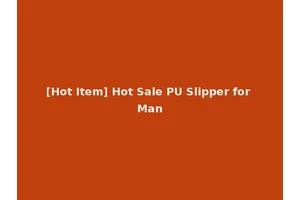 [Hot Item] Hot Sale PU Slipper for Man