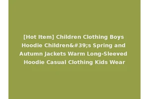 [Hot Item] Children Clothing Boys Hoodie Children's Spring and Autumn Jackets Warm Long-Sleeved Hoodie Casual Clothing Kids Wear