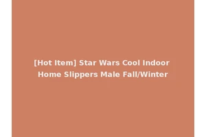 [Hot Item] Star Wars Cool Indoor Home Slippers Male Fall/Winter