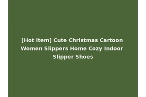 [Hot Item] Cute Christmas Cartoon Women Slippers Home Cozy Indoor Slipper Shoes