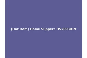 [Hot Item] Home Slippers HS2093019