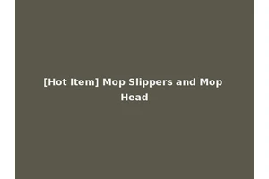 [Hot Item] Mop Slippers and Mop Head