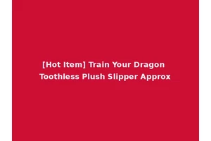 [Hot Item] Train Your Dragon Toothless Plush Slipper Approx