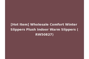 [Hot Item] Wholesale Comfort Winter Slippers Plush Indoor Warm Slippers (RW50827)