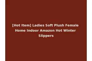 [Hot Item] Ladies Soft Plush Female Home Indoor Amazon Hot Winter Slippers