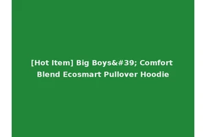[Hot Item] Big Boys' Comfort Blend Ecosmart Pullover Hoodie
