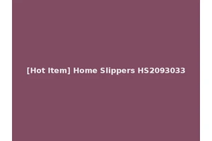 [Hot Item] Home Slippers HS2093033