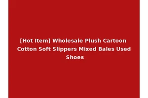 [Hot Item] Wholesale Plush Cartoon Cotton Soft Slippers Mixed Bales Used Shoes