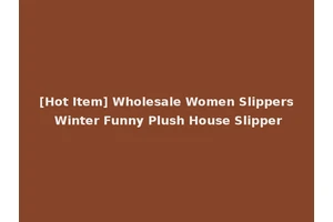 [Hot Item] Wholesale Women Slippers Winter Funny Plush House Slipper