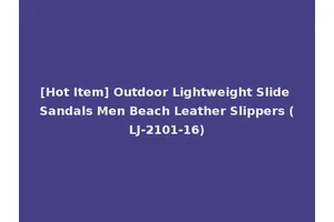 [Hot Item] Outdoor Lightweight Slide Sandals Men Beach Leather Slippers (LJ-2101-16)