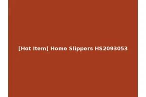[Hot Item] Home Slippers HS2093053