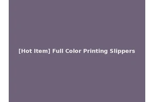 [Hot Item] Full Color Printing Slippers