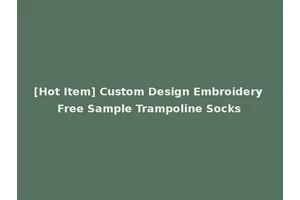 [Hot Item] Custom Design Embroidery Free Sample Trampoline Socks