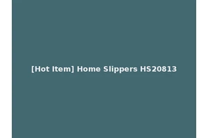 [Hot Item] Home Slippers HS20813
