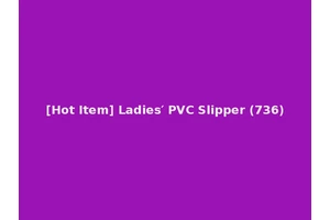 [Hot Item] Ladies′ PVC Slipper (736)