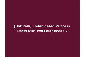 [Hot Item] Embroidered Princess Dress with Two Color Beads 2