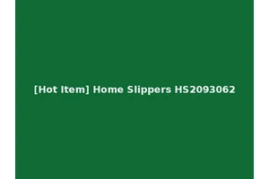 [Hot Item] Home Slippers HS2093062