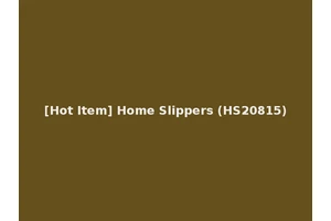 [Hot Item] Home Slippers (HS20815)