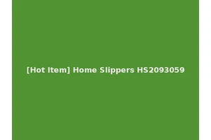 [Hot Item] Home Slippers HS2093059