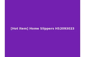 [Hot Item] Home Slippers HS2093023