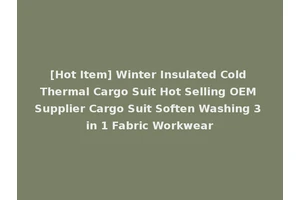 [Hot Item] Winter Insulated Cold Thermal Cargo Suit Hot Selling OEM Supplier Cargo Suit Soften Washing 3 in 1 Fabric Workwear
