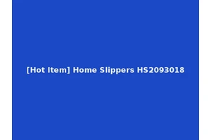 [Hot Item] Home Slippers HS2093018