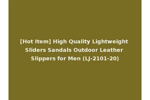[Hot Item] High Quality Lightweight Sliders Sandals Outdoor Leather Slippers for Men (LJ-2101-20)