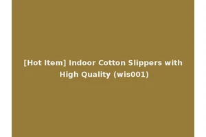 [Hot Item] Indoor Cotton Slippers with High Quality (wis001)