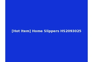 [Hot Item] Home Slippers HS2093025