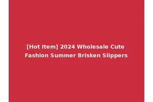 [Hot Item] 2024 Wholesale Cute Fashion Summer Brisken Slippers
