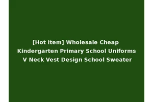 [Hot Item] Wholesale Cheap Kindergarten Primary School Uniforms V Neck Vest Design School Sweater