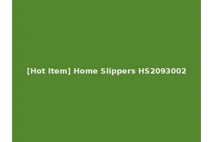 [Hot Item] Home Slippers HS2093002