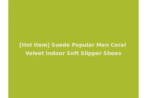 [Hot Item] Suede Popular Men Coral Velvet Indoor Soft Slipper Shoes