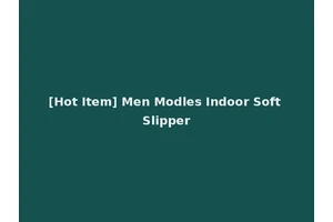[Hot Item] Men Modles Indoor Soft Slipper
