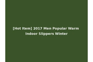 [Hot Item] 2017 Men Popular Warm Indoor Slippers Winter