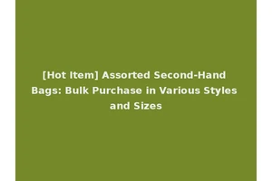 [Hot Item] Assorted Second-Hand Bags: Bulk Purchase in Various Styles and Sizes