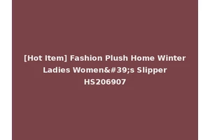 [Hot Item] Fashion Plush Home Winter Ladies Women's Slipper HS206907