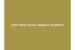 [Hot Item] Home Slippers HS20811