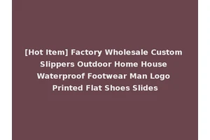 [Hot Item] Factory Wholesale Custom Slippers Outdoor Home House Waterproof Footwear Man Logo Printed Flat Shoes Slides