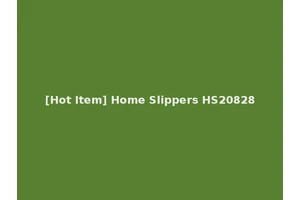 [Hot Item] Home Slippers HS20828