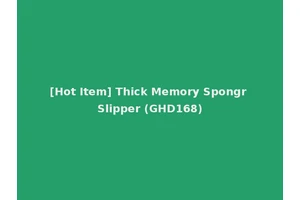 [Hot Item] Thick Memory Spongr Slipper (GHD168)