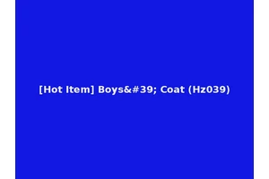 [Hot Item] Boys' Coat (Hz039)
