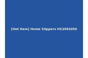 [Hot Item] Home Slippers HS2093050
