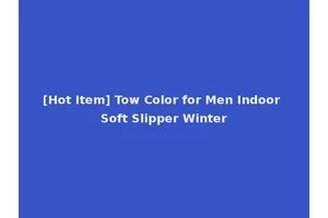 [Hot Item] Tow Color for Men Indoor Soft Slipper Winter