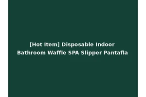 [Hot Item] Disposable Indoor Bathroom Waffle SPA Slipper Pantafla