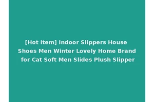 [Hot Item] Indoor Slippers House Shoes Men Winter Lovely Home Brand for Cat Soft Men Slides Plush Slipper