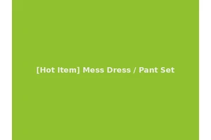 [Hot Item] Mess Dress / Pant Set